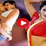 Monalisa-Nirhuaa Sexy Video : मोनालिसा सेक्सी वीडियो भोजपुरी एक्ट्रेस का निरहुआ के साथ हॉट रेन डांस