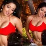 Bhojpuri SEXY Video : मोनालिसा का भोजपुरी बोल्ड सेक्सी वीडियो डांस ने मचाया तहलका